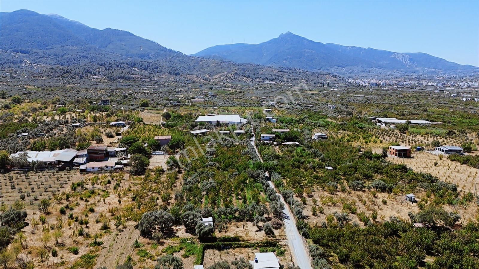 Armutlu Hürriyet'te Satılık 2.848 M2 Bağ - Bahçe - Görsel 6