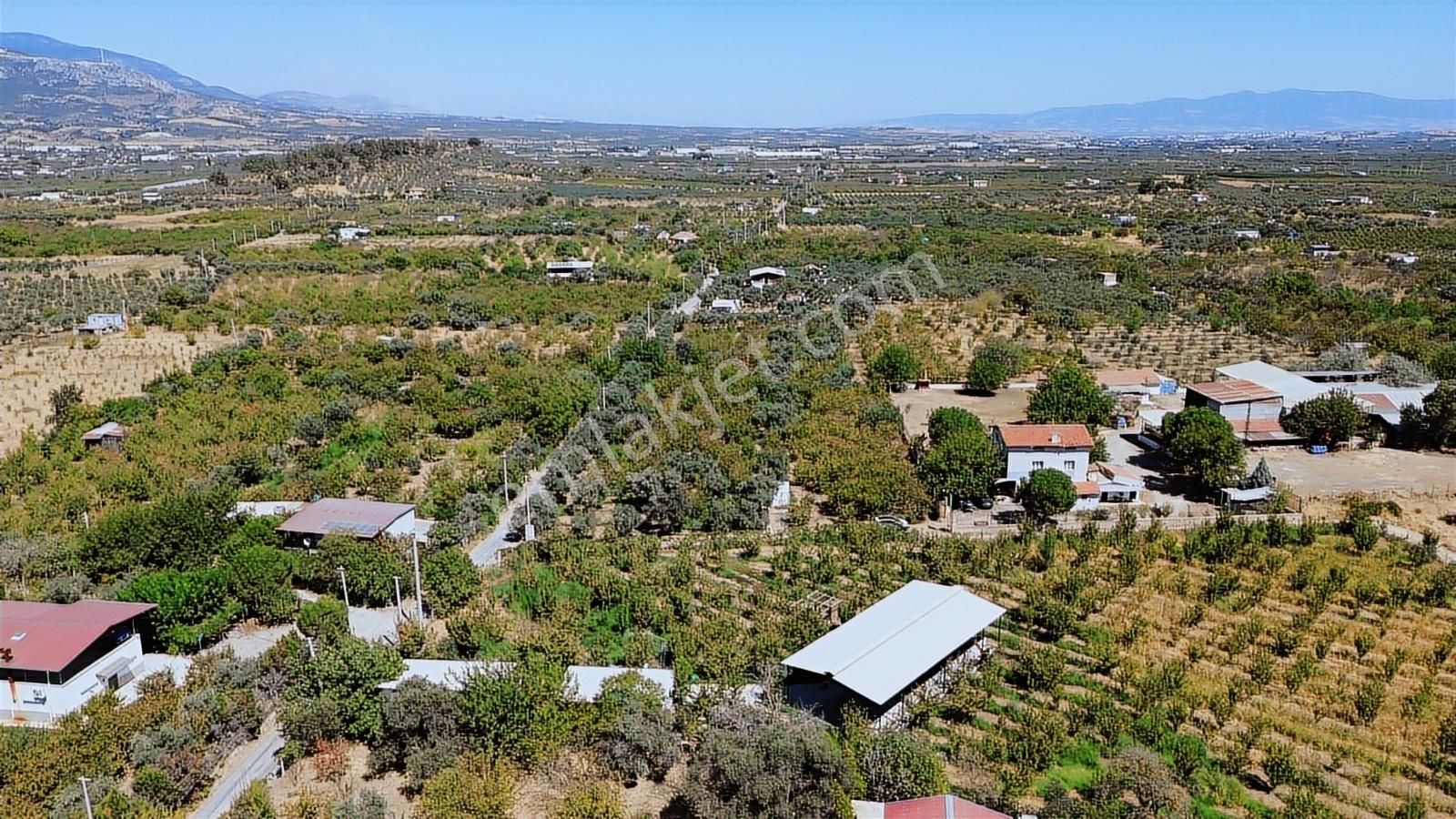 Armutlu Hürriyet'te Satılık 2.848 M2 Bağ - Bahçe - Görsel 3