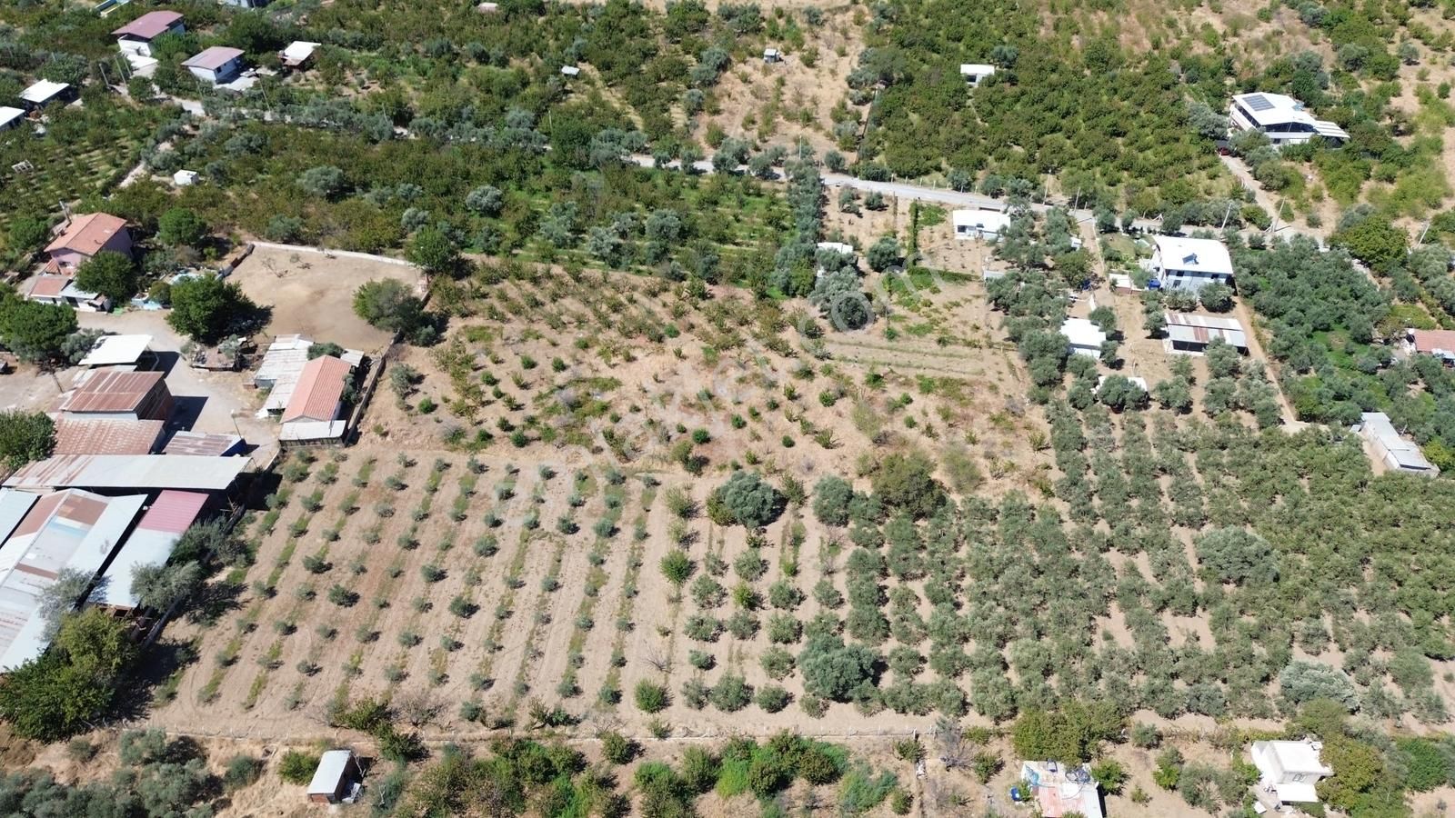 Armutlu Hürriyet'te Satılık 2.848 M2 Bağ - Bahçe - Görsel 4