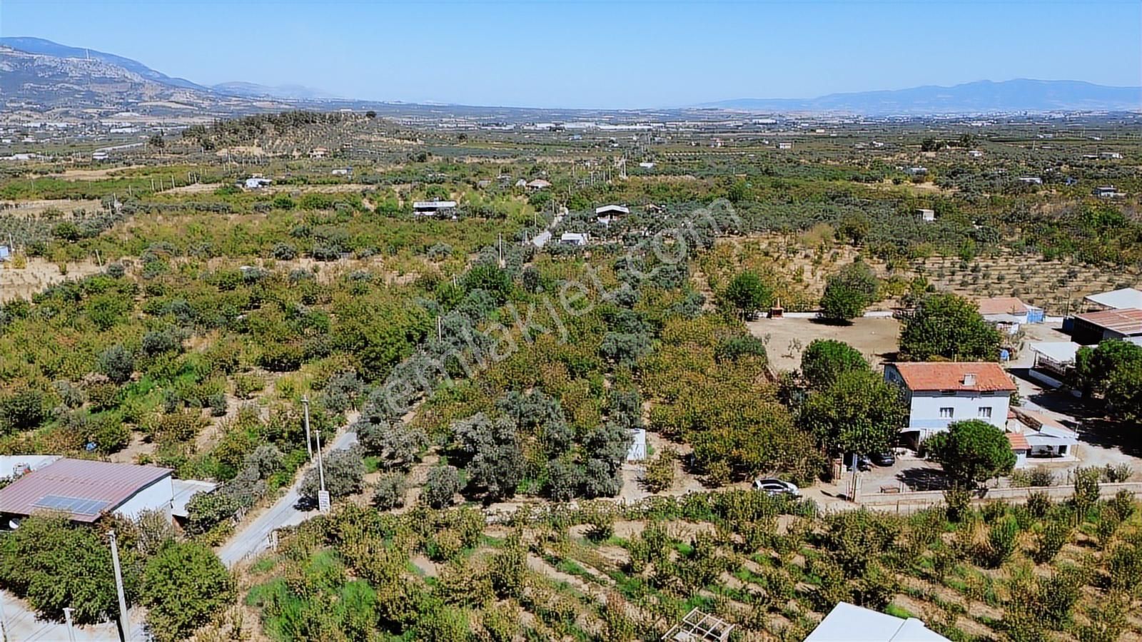 Armutlu Hürriyet'te Satılık 2.848 M2 Bağ - Bahçe - Görsel 10