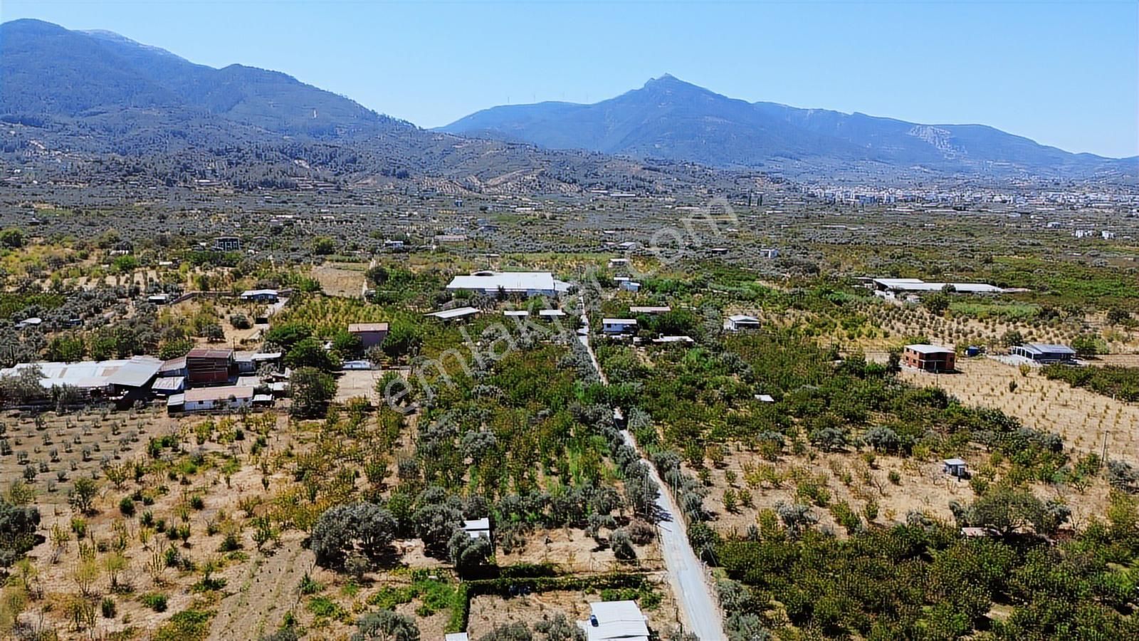 Armutlu Hürriyet'te Satılık 2.848 M2 Bağ - Bahçe - Görsel 11