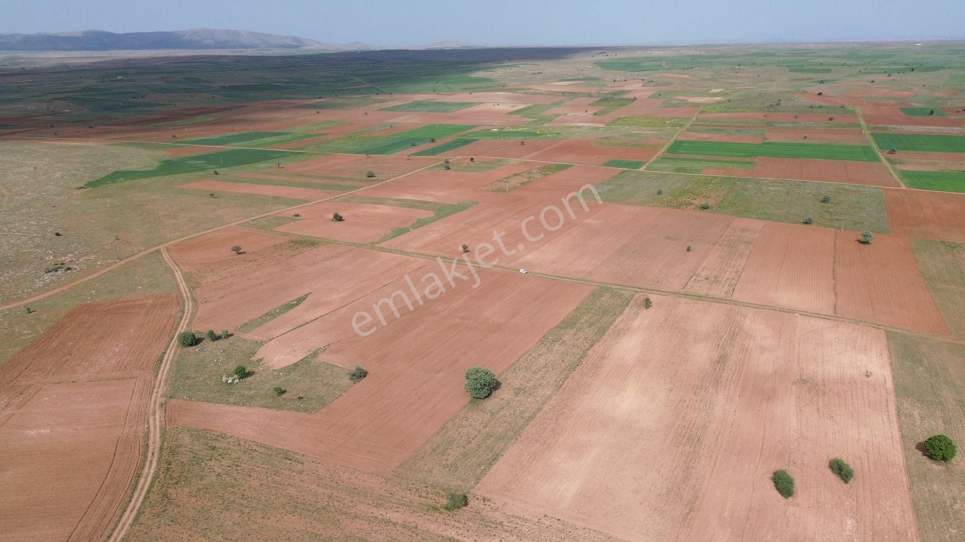 Konya / Akören / Hacılar Mahallesinde 14.090 M² Müstakil Tapulu Tarla