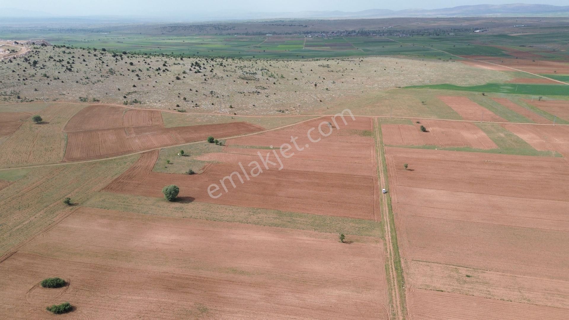 Konya / Akören / Hacılar Mahallesinde 14.090 M² Müstakil Tapulu Tarla - Görsel 3