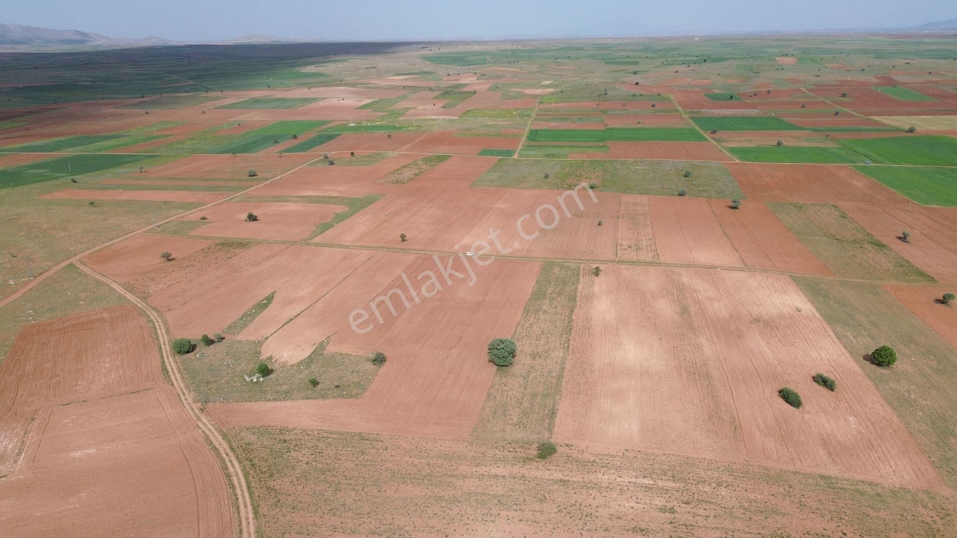Konya / Akören / Hacılar Mahallesinde 14.090 M² Müstakil Tapulu Tarla - Görsel 9