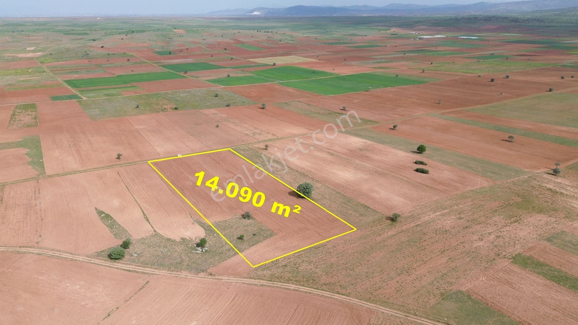 Konya / Akören / Hacılar Mahallesinde 14.090 M² Müstakil Tapulu Tarla - Görsel 2