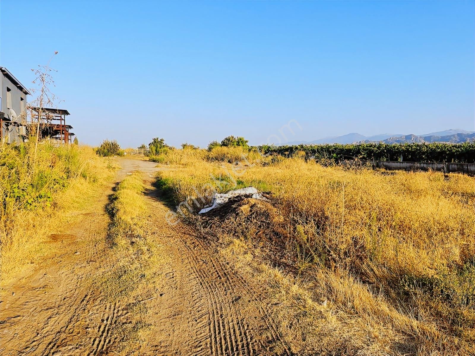 Salihli Beylikli'de 2437m2 Satılık Bağ - Görsel 2