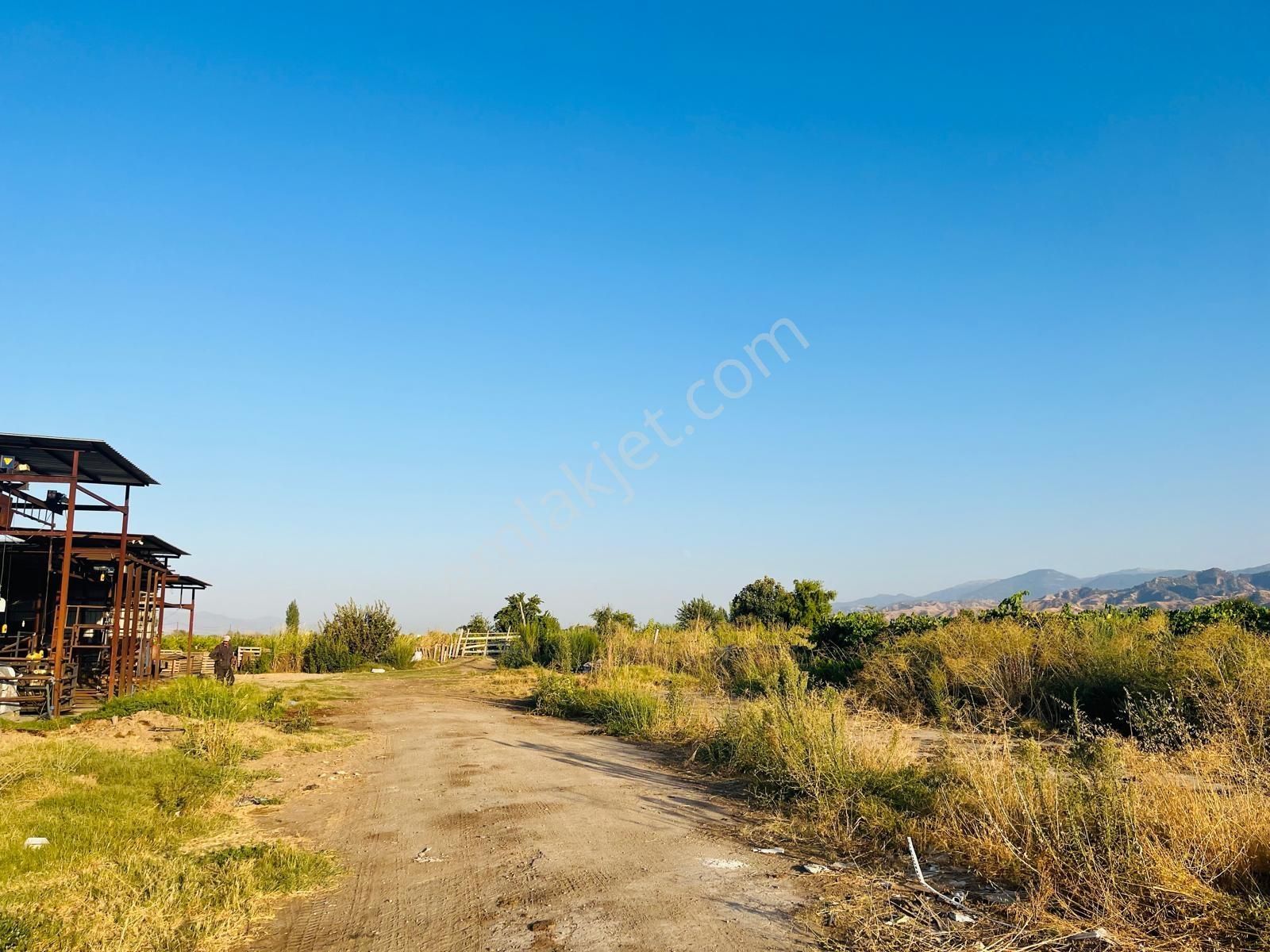 Salihli Beylikli'de 2437m2 Satılık Bağ - Görsel 3