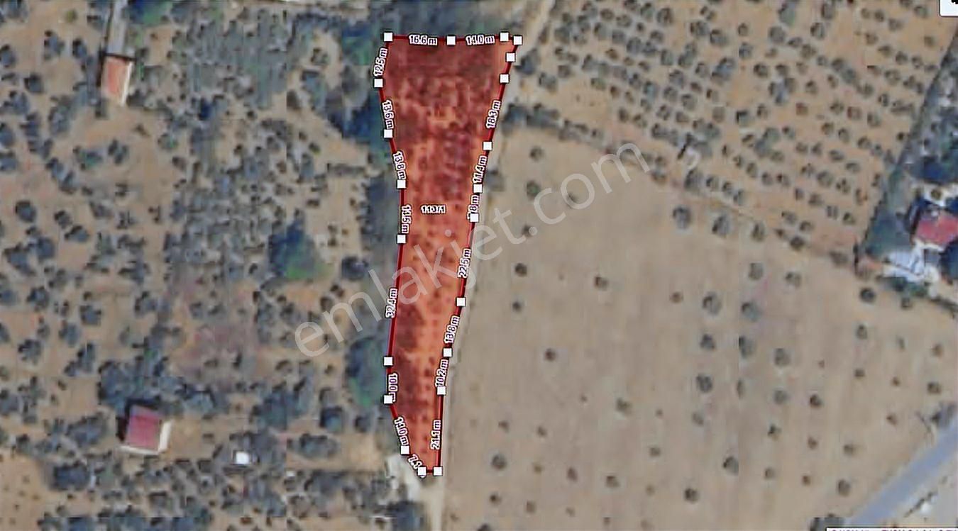 2258 M² Tarla, Yol Kenarı, Çevresi İşletmelerle Çevrili - Görsel 7