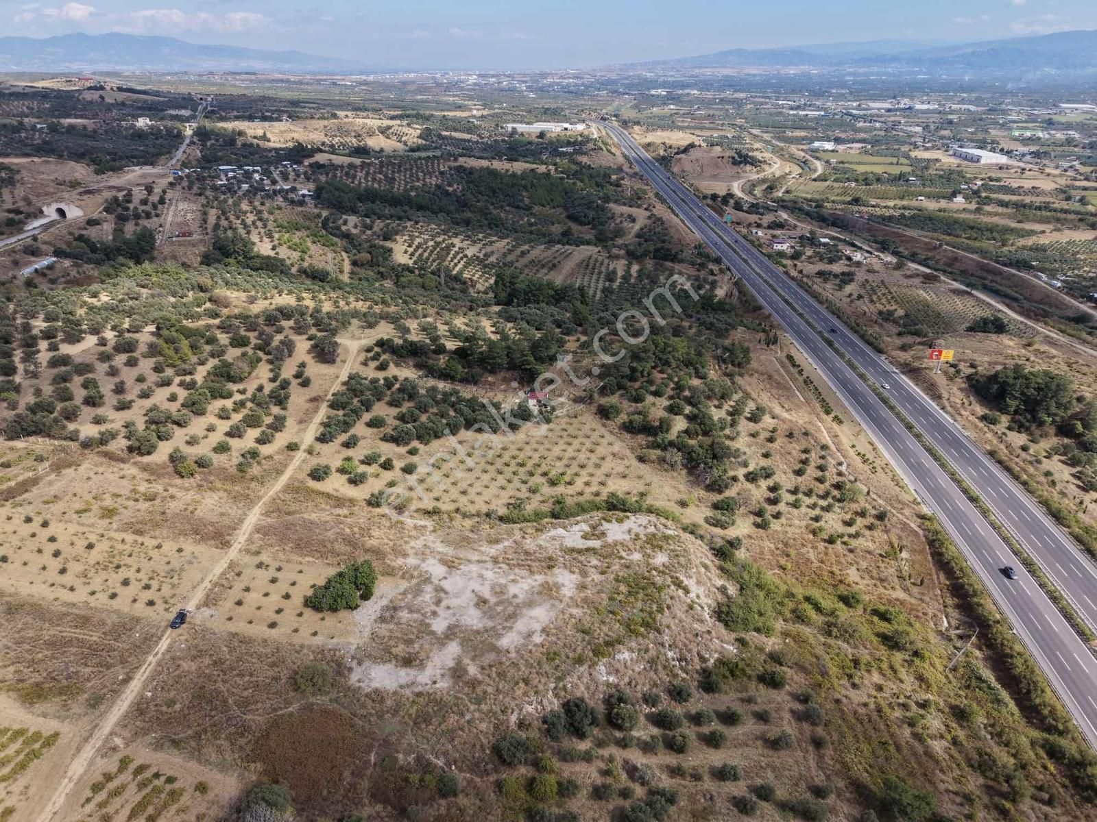 İzmir Kemalpaşa Çambel De Satılık Yatırımlık Zeytinli Bağ. - Görsel 33