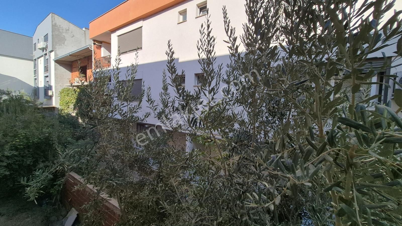 Ege Üniversitesi Kampüsü Arkasında Doğalgaz Kombili 3+1 - Görsel 7