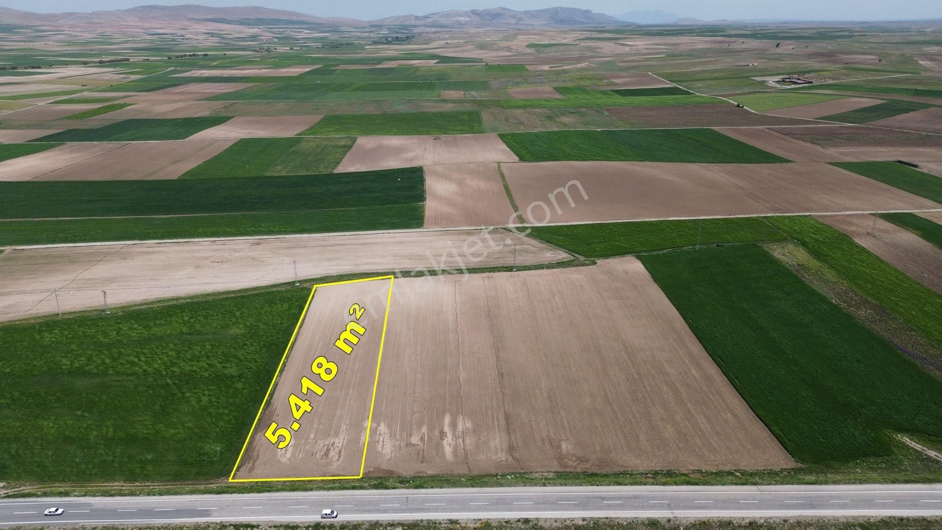 Konya / Meram / Hatunsaray Mahallesinde 5.418 M² Müstakil Tapulu Tarla - Görsel 9