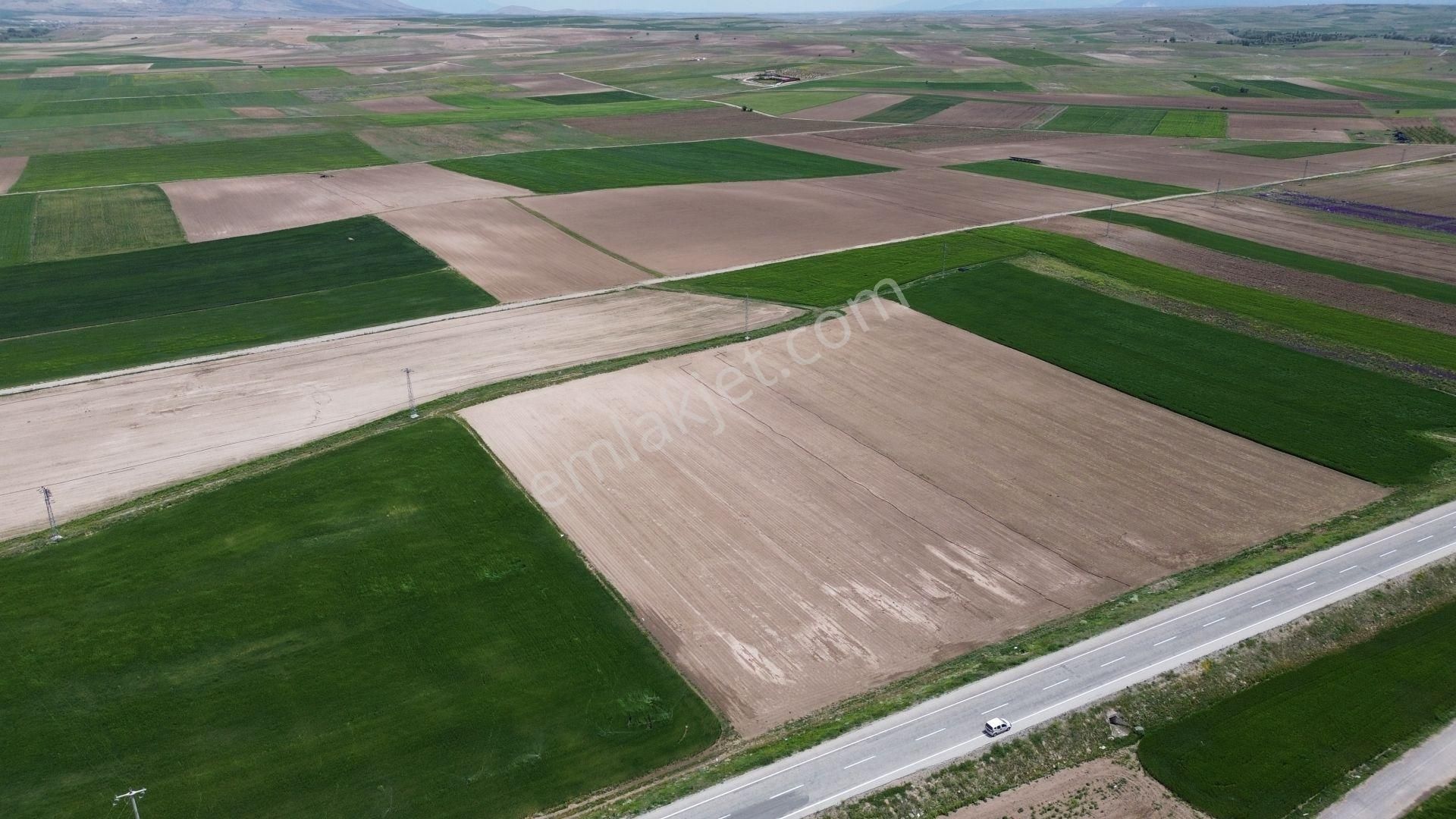 Konya / Meram / Hatunsaray Mahallesinde 5.418 M² Müstakil Tapulu Tarla - Görsel 2