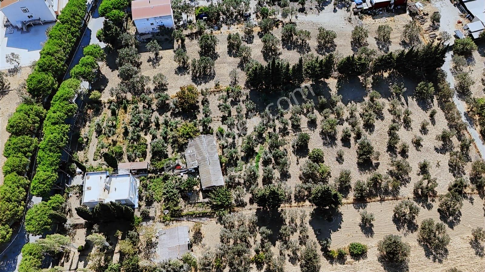 Fırsat İzmir Aliağa Yeni Şakran 2 Katlı Apartman Ve 7202 M² Arsa - Görsel 2