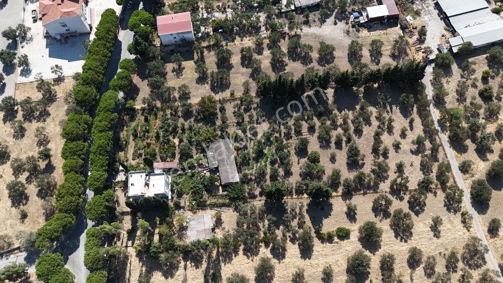 Fırsat İzmir Aliağa Yeni Şakran 2 Katlı Apartman Ve 7202 M² Arsa - Görsel 7