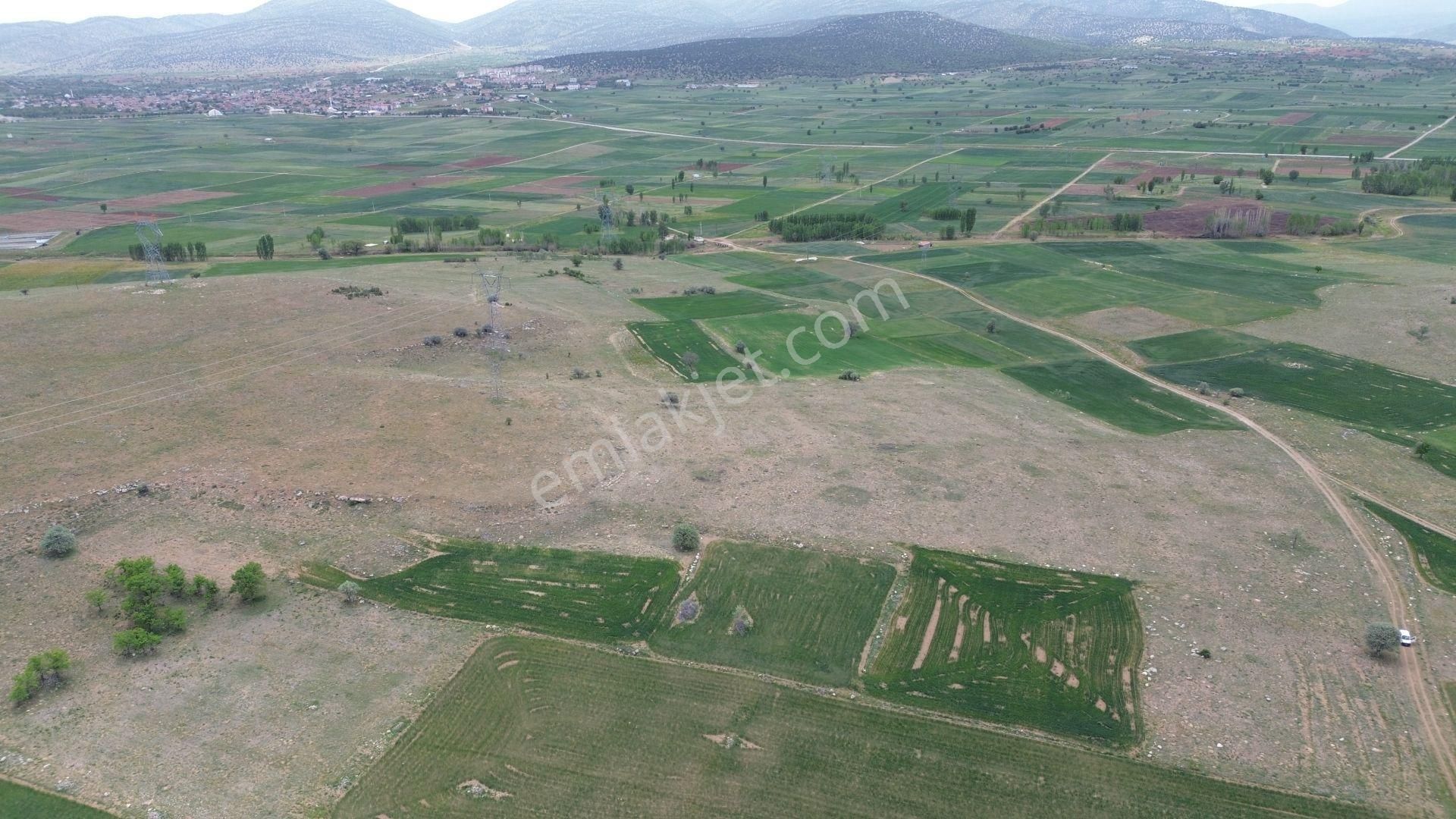 Konya / Akören / Orhaniye Mahallesinde 2.713 M² Müstakil Tapulu Tarla - Görsel 12