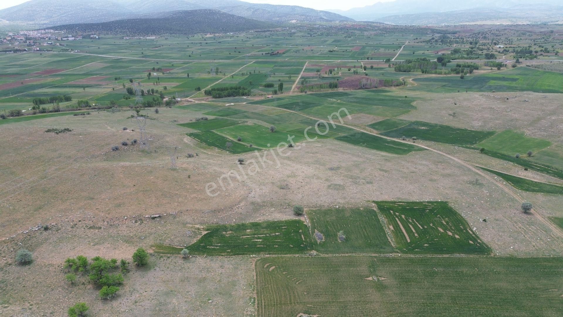 Konya / Akören / Orhaniye Mahallesinde 2.713 M² Müstakil Tapulu Tarla - Görsel 2