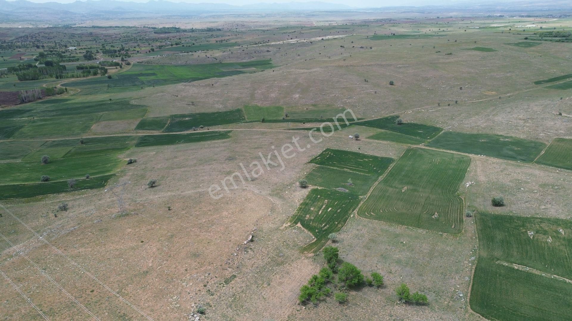 Konya / Akören / Orhaniye Mahallesinde 2.713 M² Müstakil Tapulu Tarla - Görsel 3