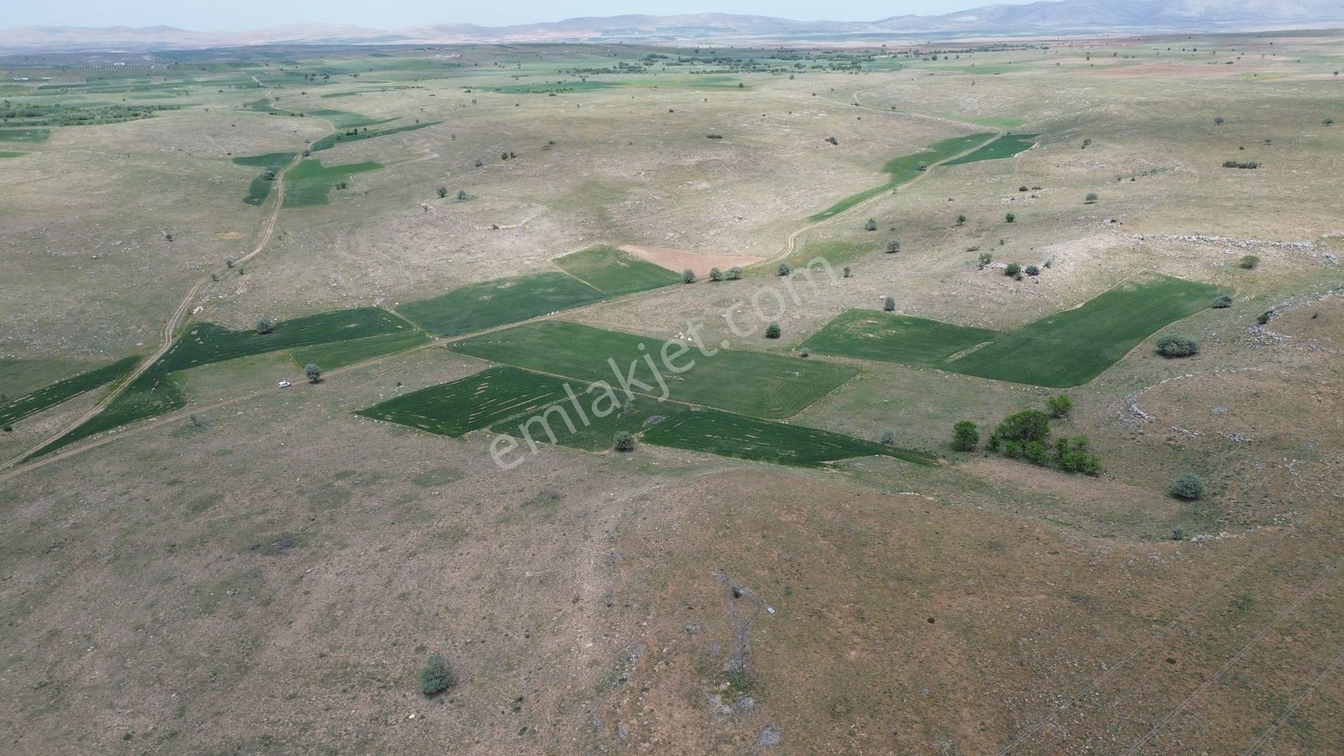 Konya / Akören / Orhaniye Mahallesinde 2.713 M² Müstakil Tapulu Tarla - Görsel 6