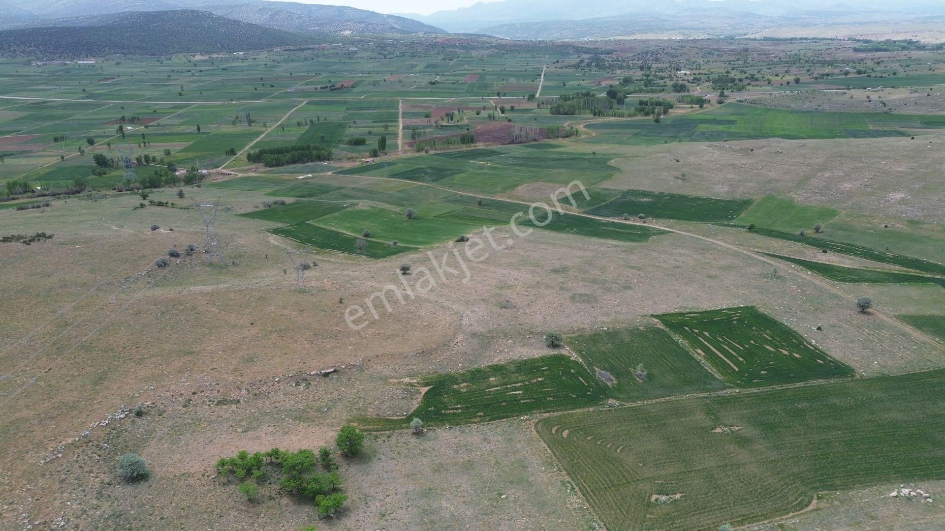Konya / Akören / Orhaniye Mahallesinde 2.713 M² Müstakil Tapulu Tarla - Görsel 4
