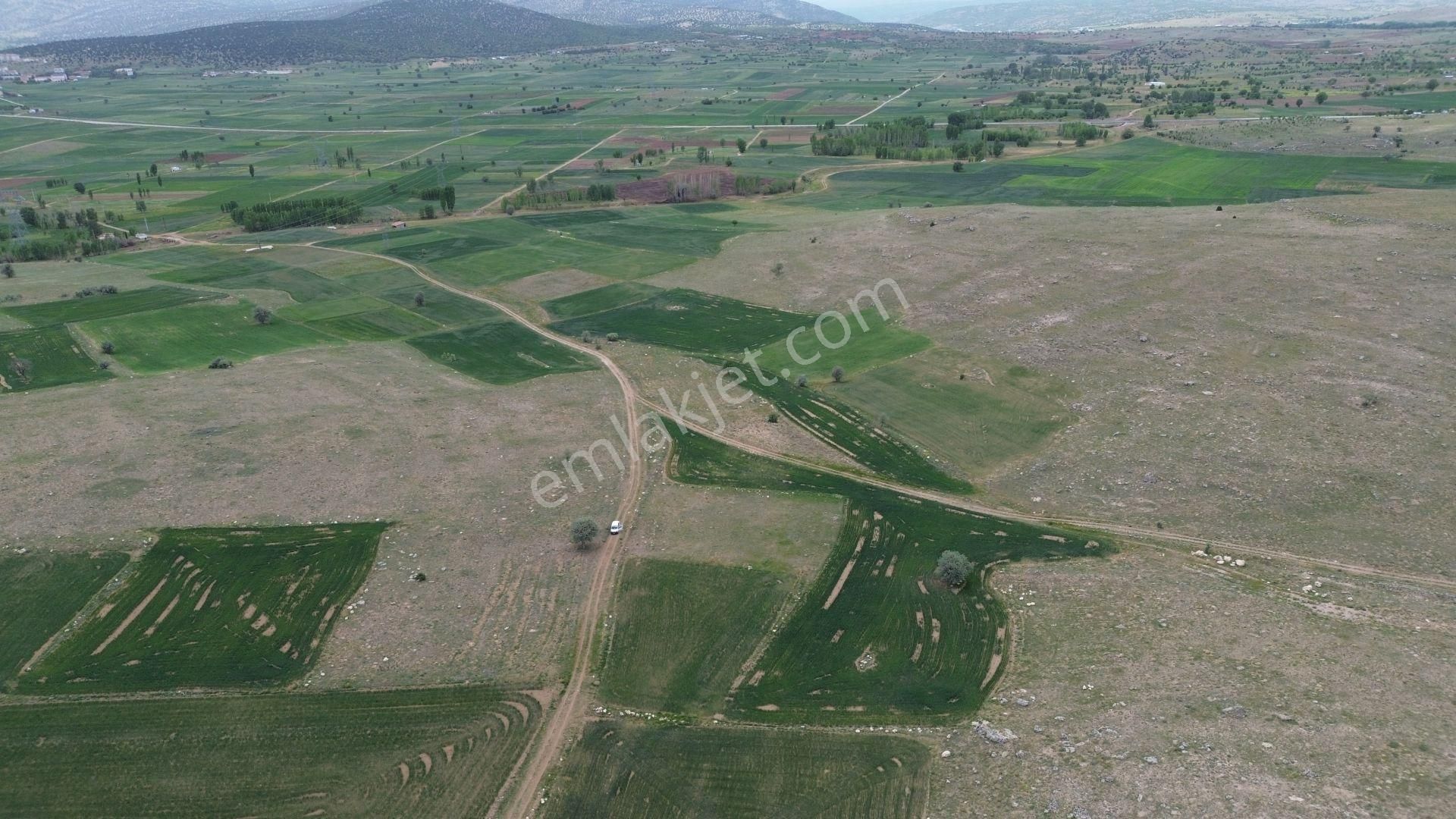 Konya / Akören / Tülce Mahallesinde 2.866 M² Müstakil Tapulu Tarla - Görsel 3