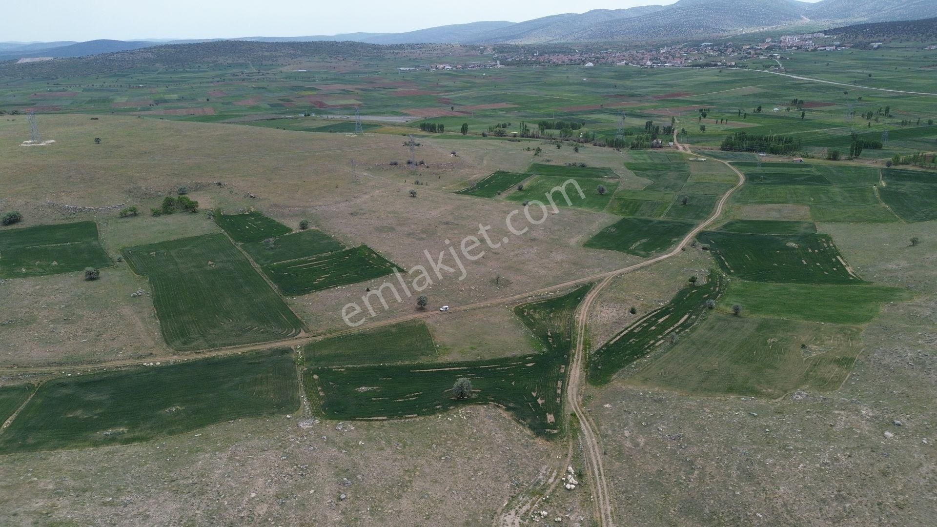 Konya / Akören / Tülce Mahallesinde 2.866 M² Müstakil Tapulu Tarla - Görsel 7