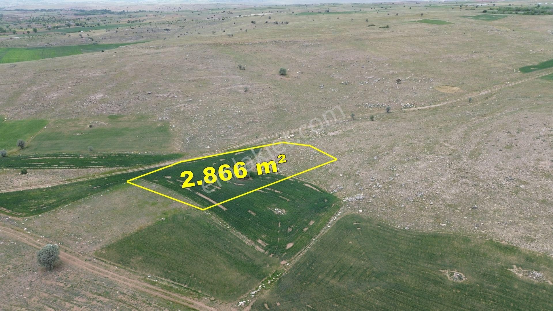 Konya / Akören / Tülce Mahallesinde 2.866 M² Müstakil Tapulu Tarla - Görsel 5