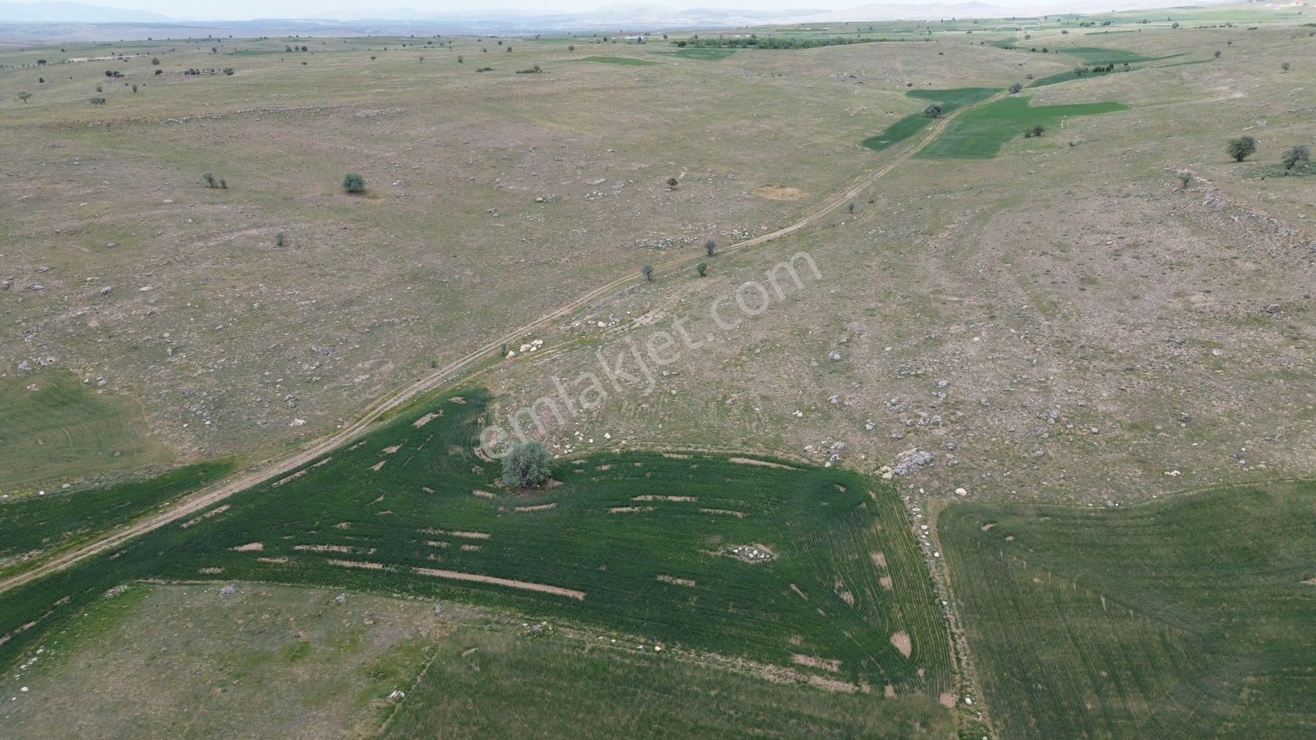 Konya / Akören / Tülce Mahallesinde 2.866 M² Müstakil Tapulu Tarla - Görsel 8