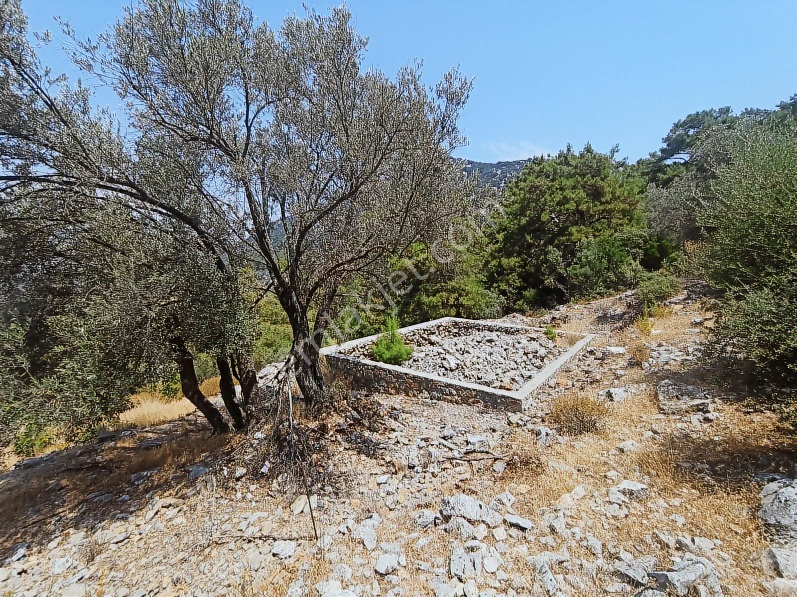 Fethiye Göcek'te Tek Tapu İmarlı Tarla - Görsel 10