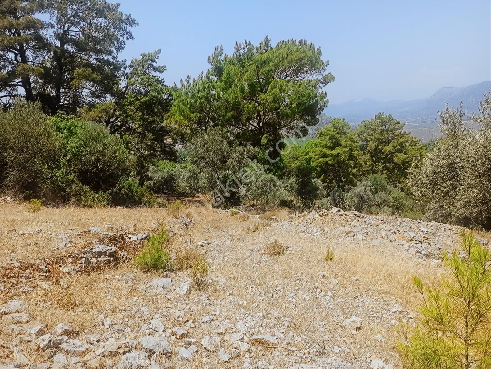 Fethiye Göcek'te Tek Tapu İmarlı Tarla - Görsel 25