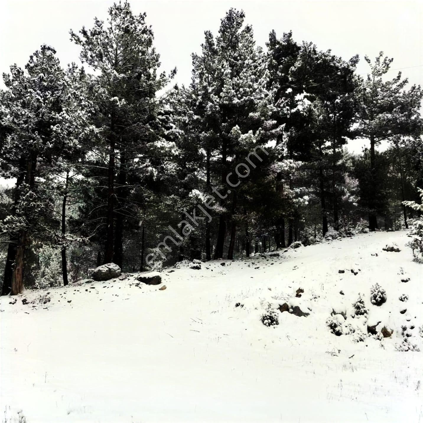 Kar Emlaktan Gökbez Yaylasında 10 Dönüm Satılık Tarla - Görsel 4