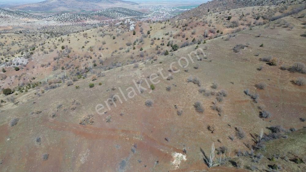 Güneysınır Gürağaç Da 1.805 M2 Müstakil Tapulu Bağ - Görsel 3