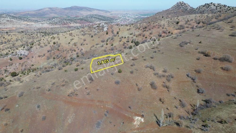 Güneysınır Gürağaç Da 1.805 M2 Müstakil Tapulu Bağ - Görsel 5