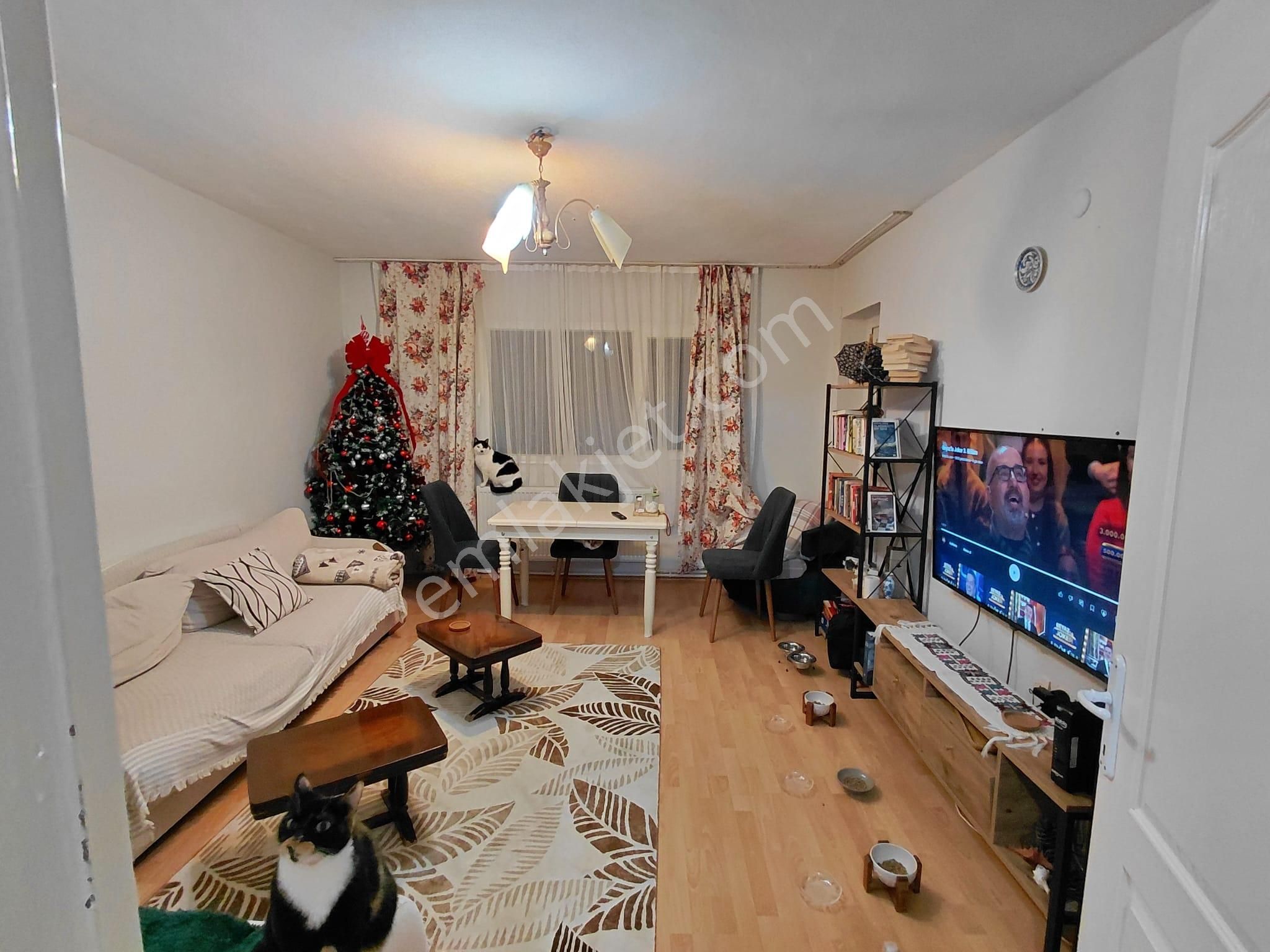 Bornova Evka4 2+1 Kapalı Mutfak Doğalgazlı Güneycephe Satılık Daire - Görsel 6