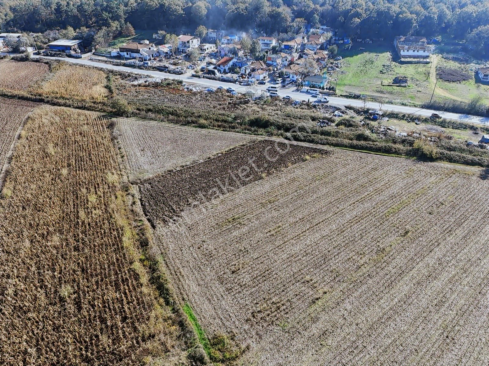 Adapazarı Dağdibin'de 1929m2 Kaçırılmayacak Fırsat - Görsel 6