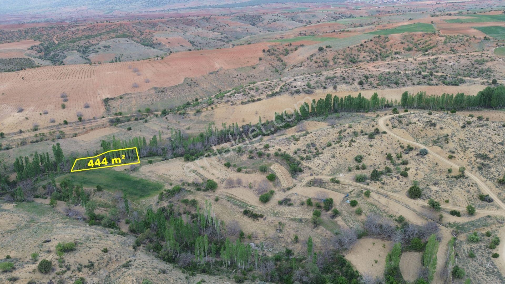 Karaman / Merkez / Damlapınar Mahallesinde 444 M² Müstakil Tapulu Kavaklık - Görsel 2