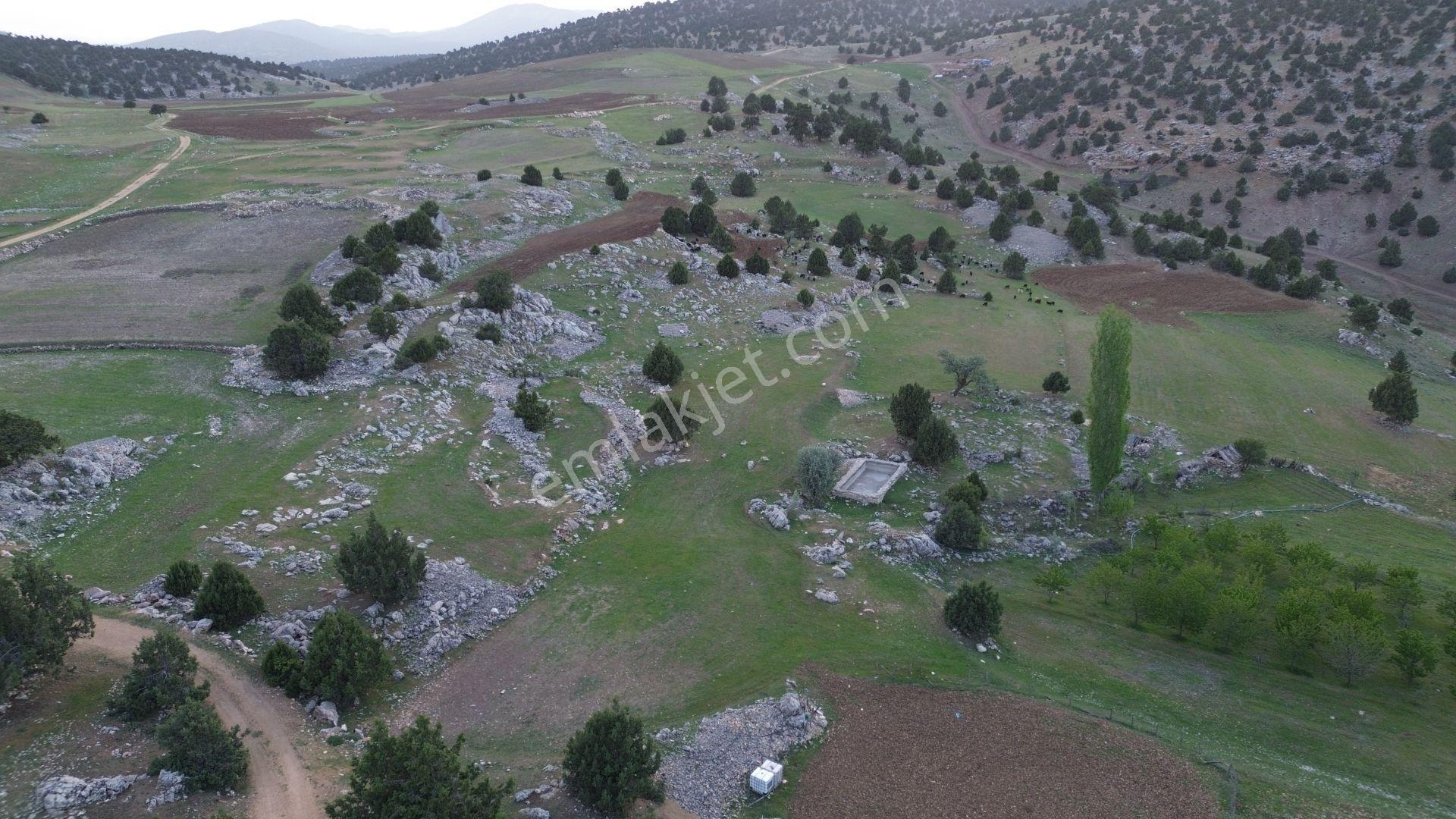 Karaman / Merkez / Yukarı Kızılca Mahallesinde 2.732 M² Müstakil Tapulu Tarla - Görsel 3