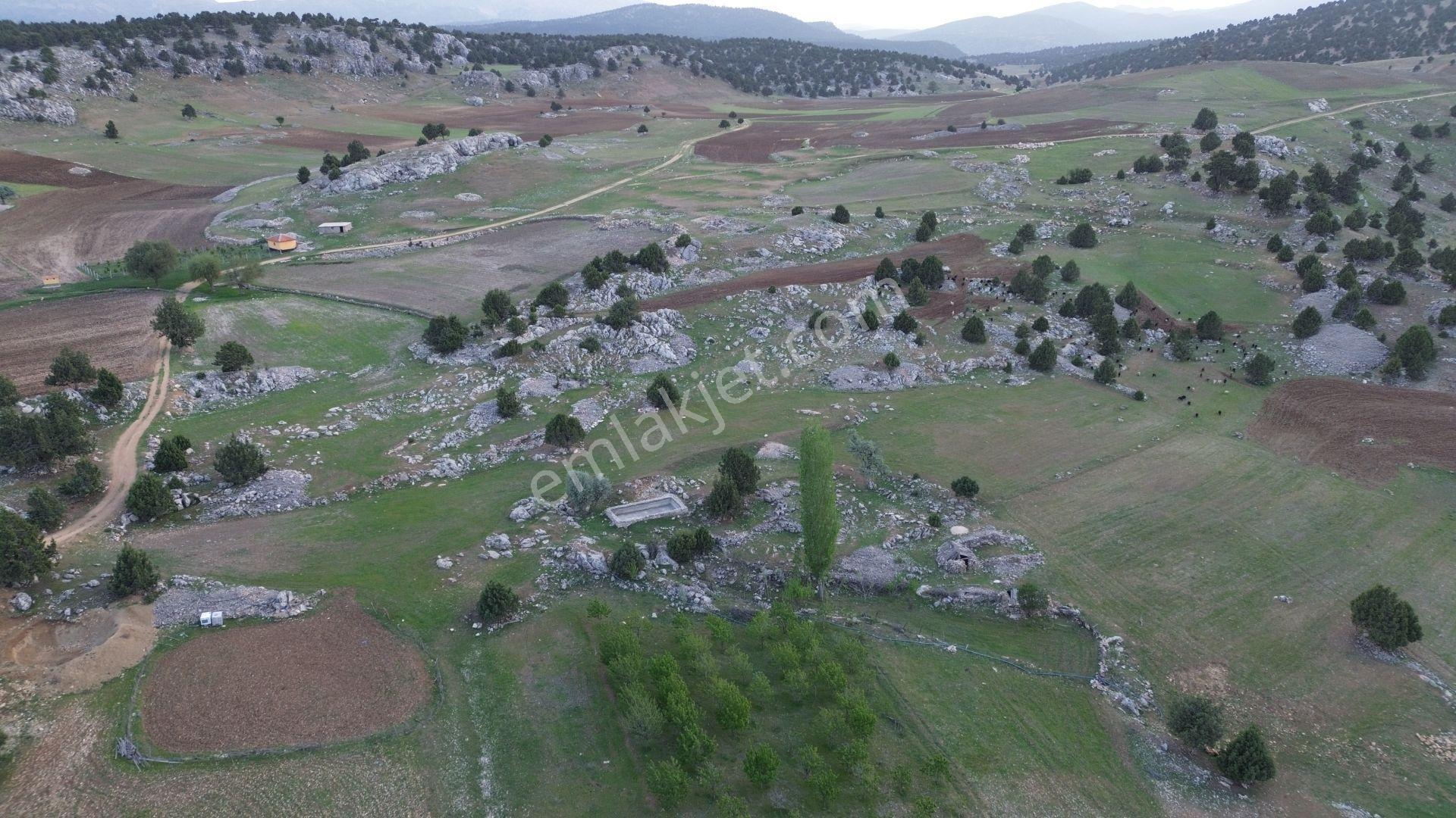 Karaman / Merkez / Yukarı Kızılca Mahallesinde 2.732 M² Müstakil Tapulu Tarla - Görsel 5
