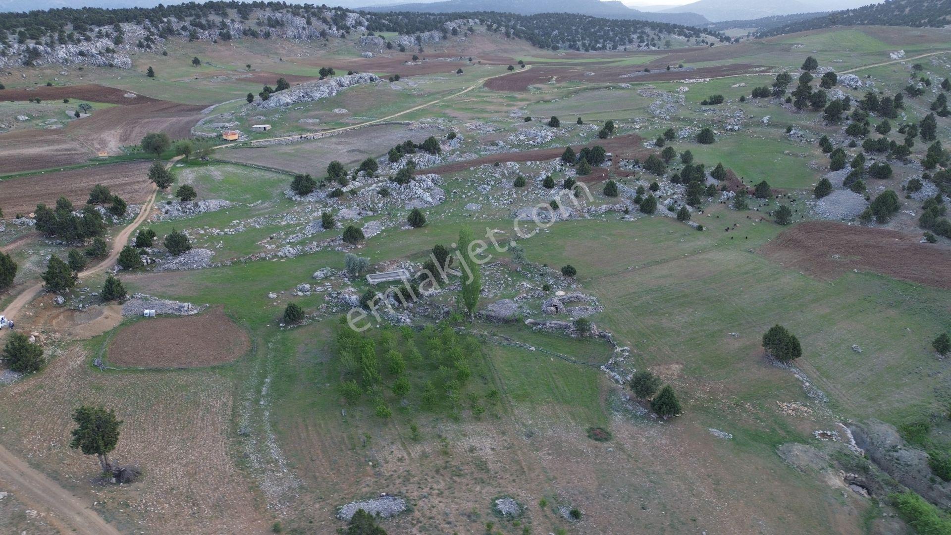 Karaman / Merkez / Yukarı Kızılca Mahallesinde 2.732 M² Müstakil Tapulu Tarla - Görsel 4