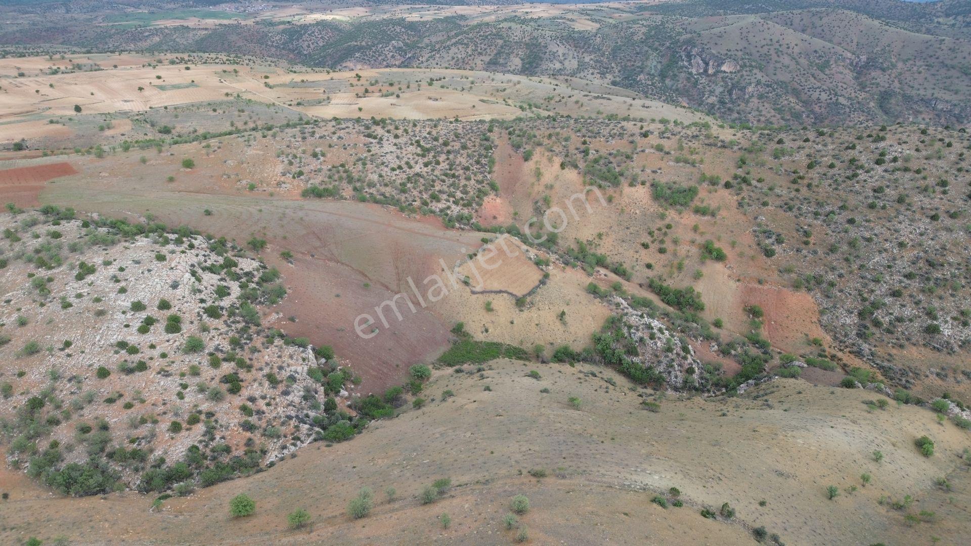 Karaman / Merkez / Bozkandak Mahallesinde 16.800 M² Müstakil Tapulu Bağ - Görsel 2
