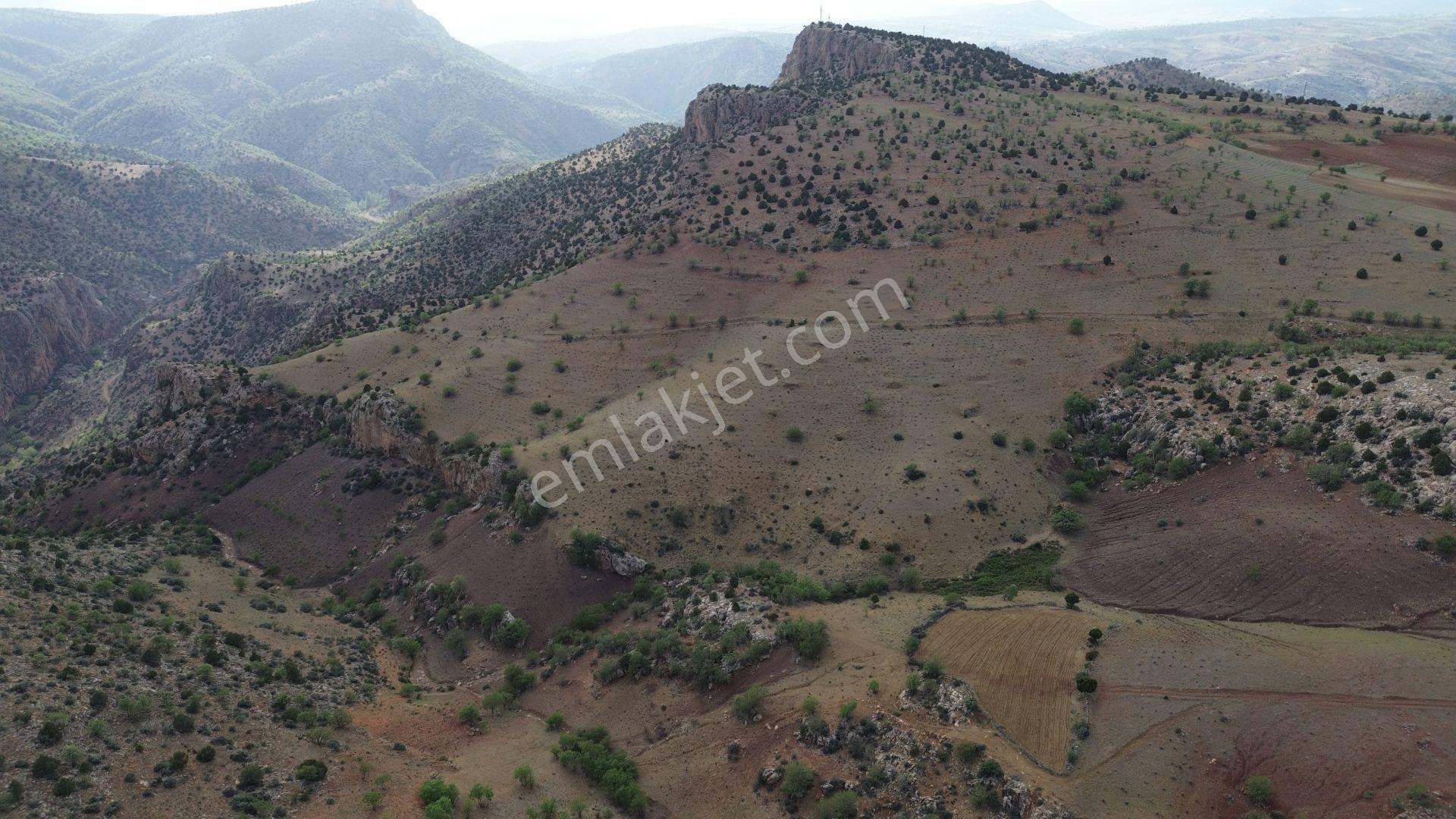 Karaman / Merkez / Bozkandak Mahallesinde 16.800 M² Müstakil Tapulu Bağ - Görsel 7