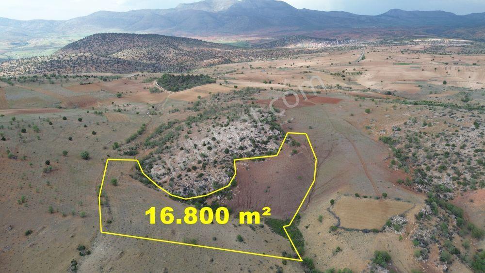 Karaman / Merkez / Bozkandak Mahallesinde 16.800 M² Müstakil Tapulu Bağ - Görsel 3