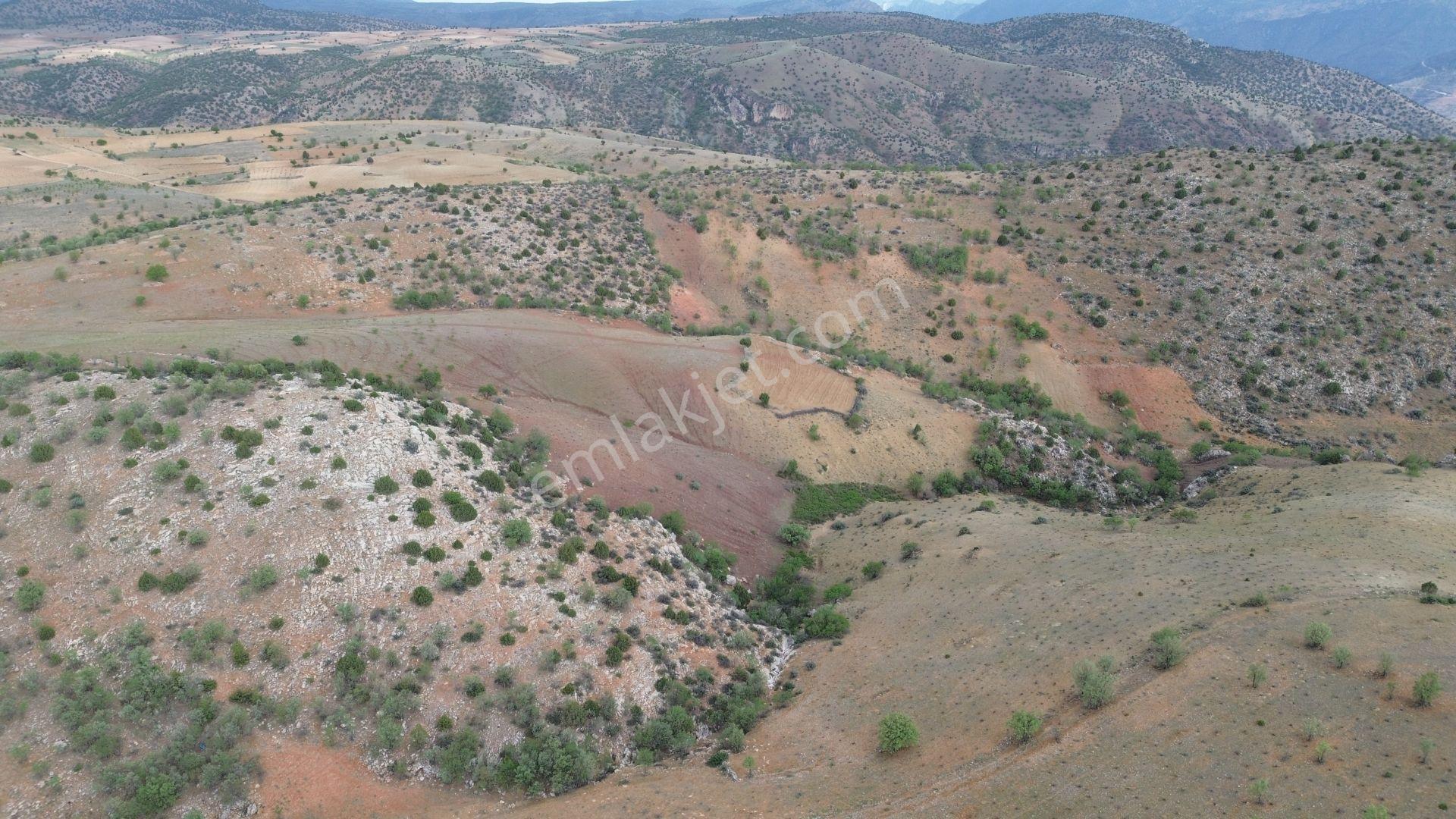 Karaman / Merkez / Bozkandak Mahallesinde 16.800 M² Müstakil Tapulu Bağ - Görsel 6