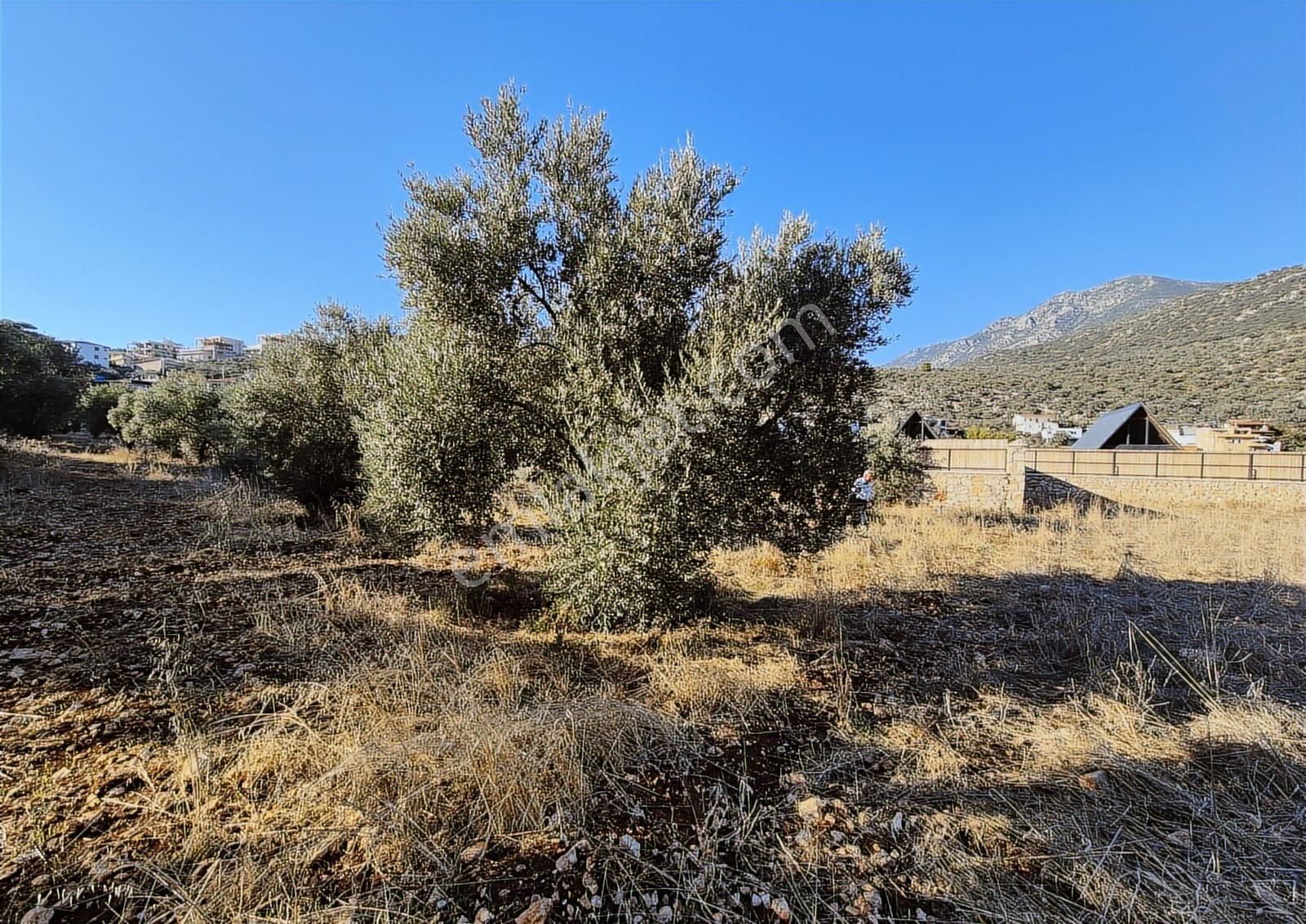 Antalya-kaş-bezirgan-satılık Arazi-tektapu-denize800m-m2:2.897tl