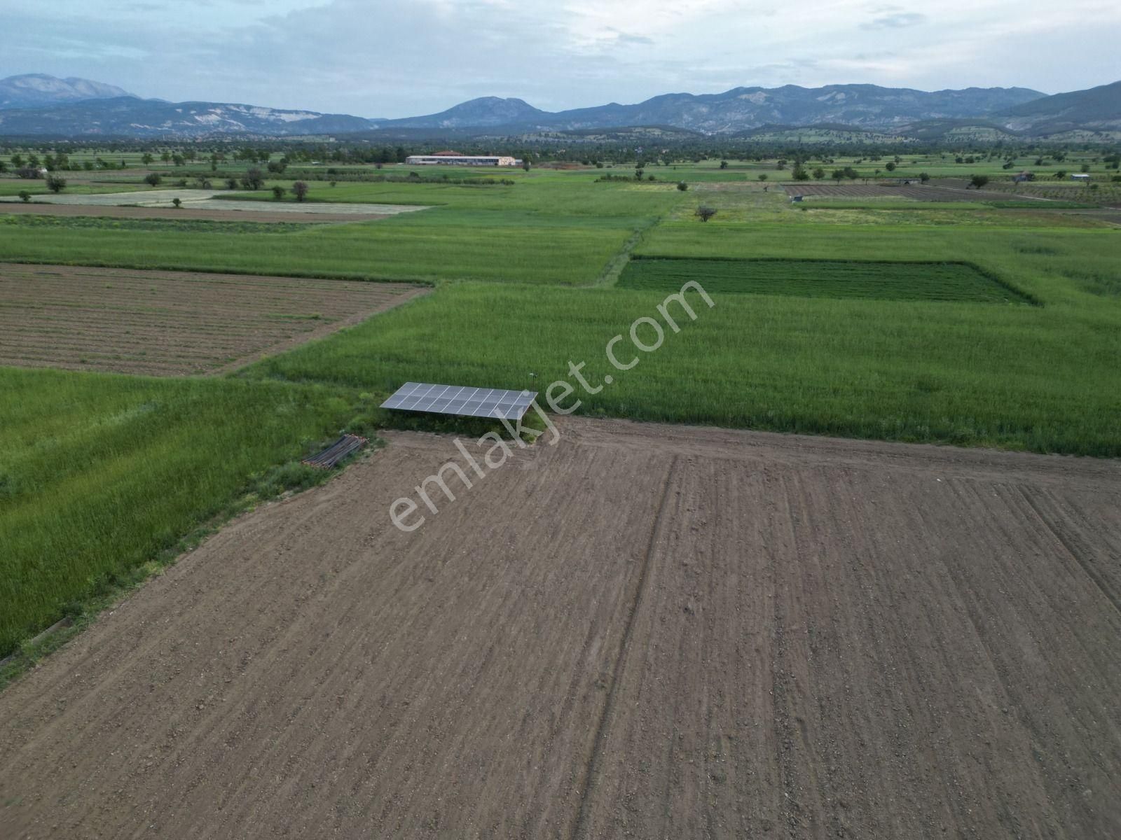 Acıpayam Yeşilyuvada 1087 M2 Yolu Suyu Var Satılık Tarla - Görsel 8