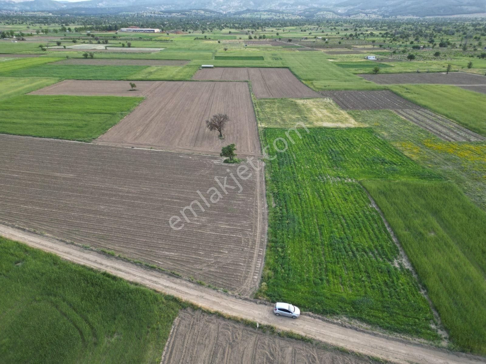 Acıpayam Yeşilyuvada 1087 M2 Yolu Suyu Var Satılık Tarla - Görsel 11