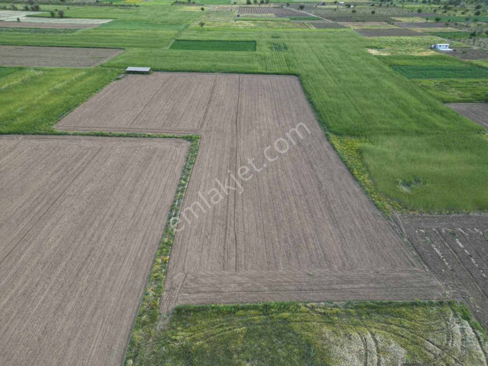 Acıpayam Yeşilyuvada 1087 M2 Yolu Suyu Var Satılık Tarla