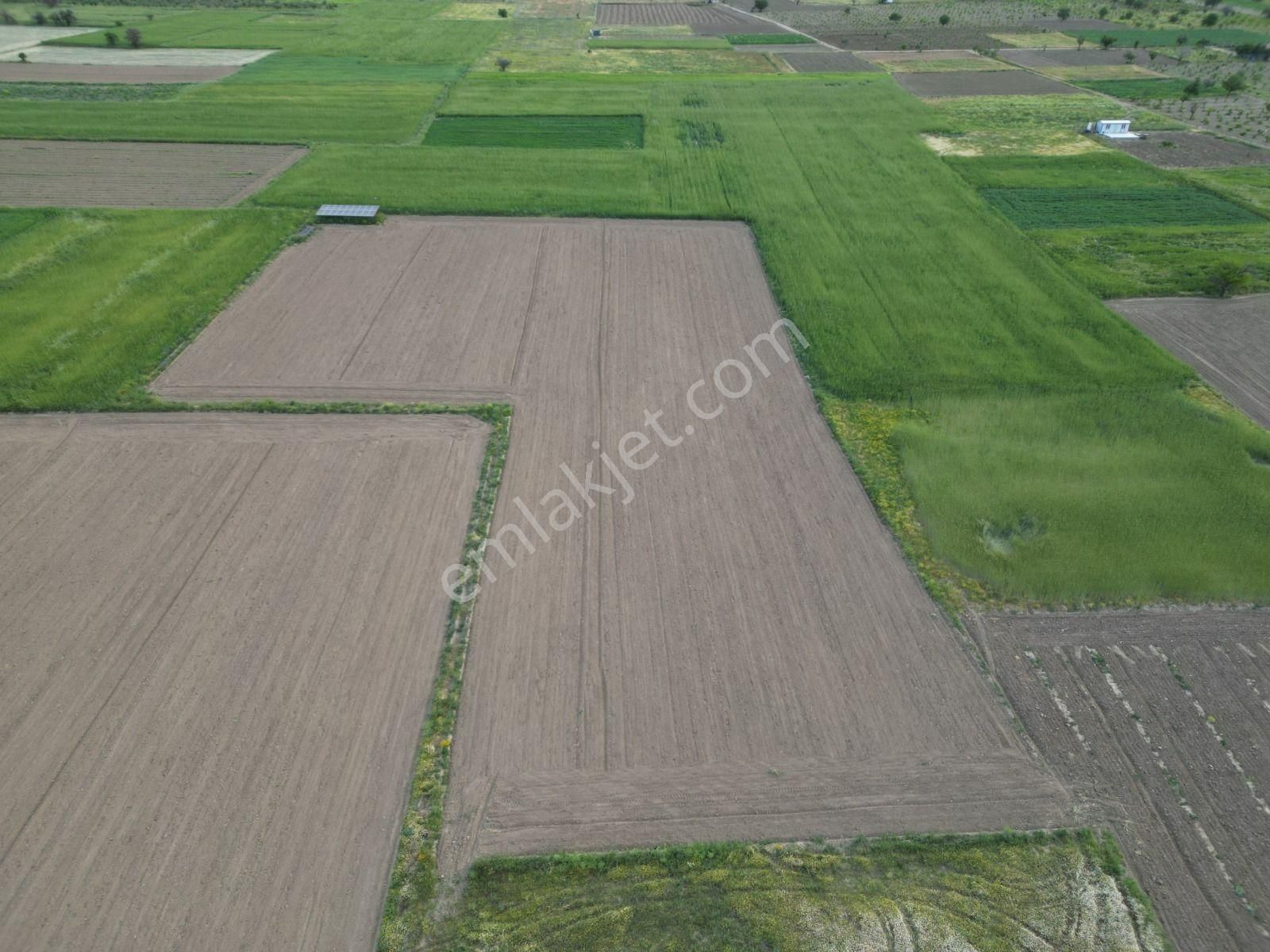 Acıpayam Yeşilyuvada 1087 M2 Yolu Suyu Var Satılık Tarla - Görsel 6