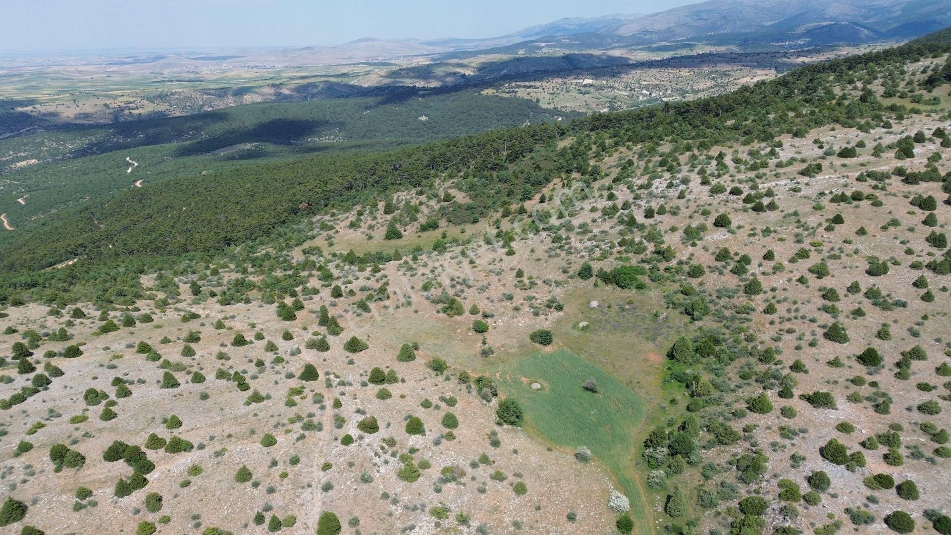 Konya / Ilgın / Mahmuthisar Mahallesinde 825 M² Müstakil Tapulu Tarla - Görsel 6