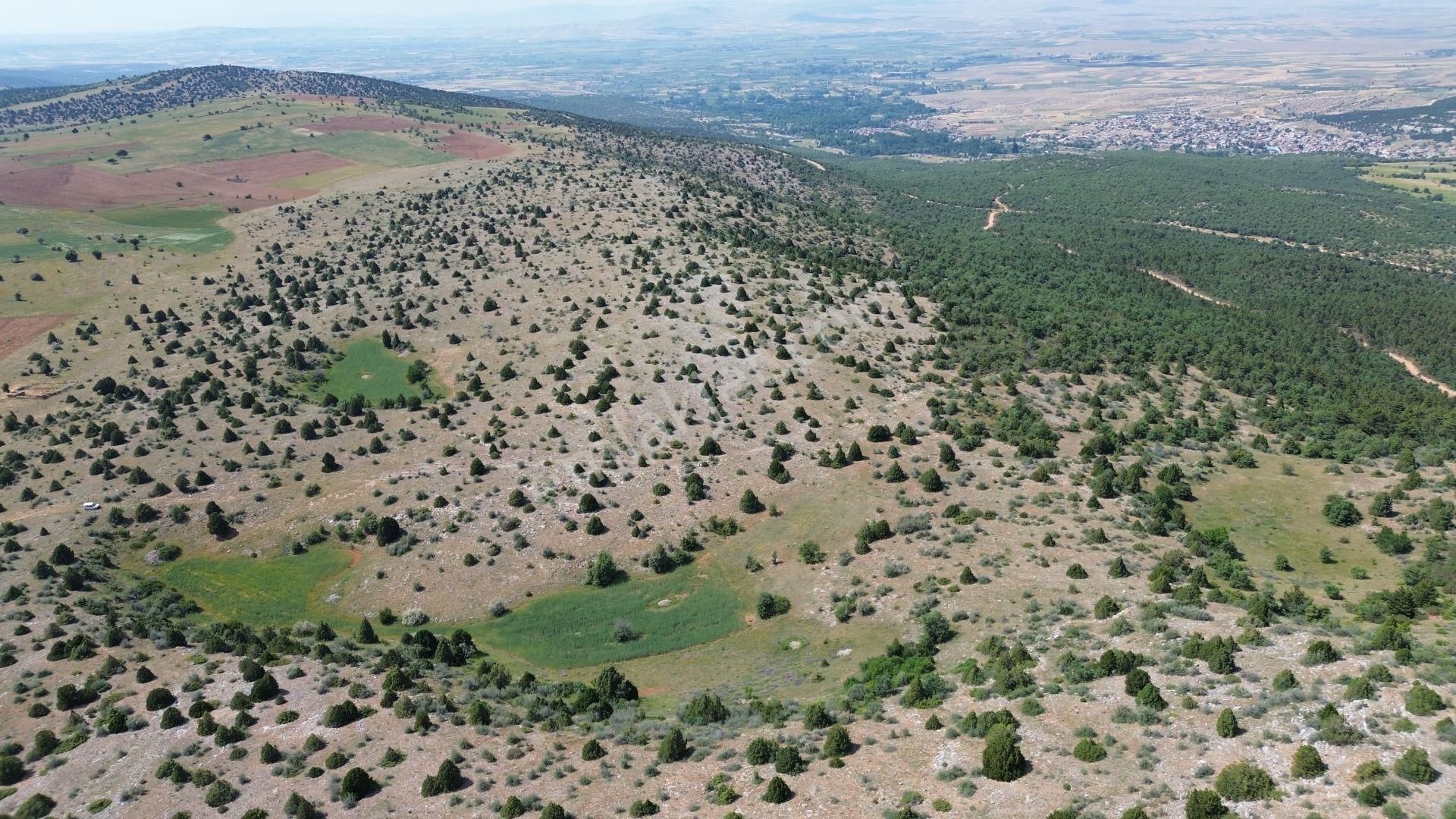 Konya / Ilgın / Mahmuthisar Mahallesinde 825 M² Müstakil Tapulu Tarla - Görsel 4