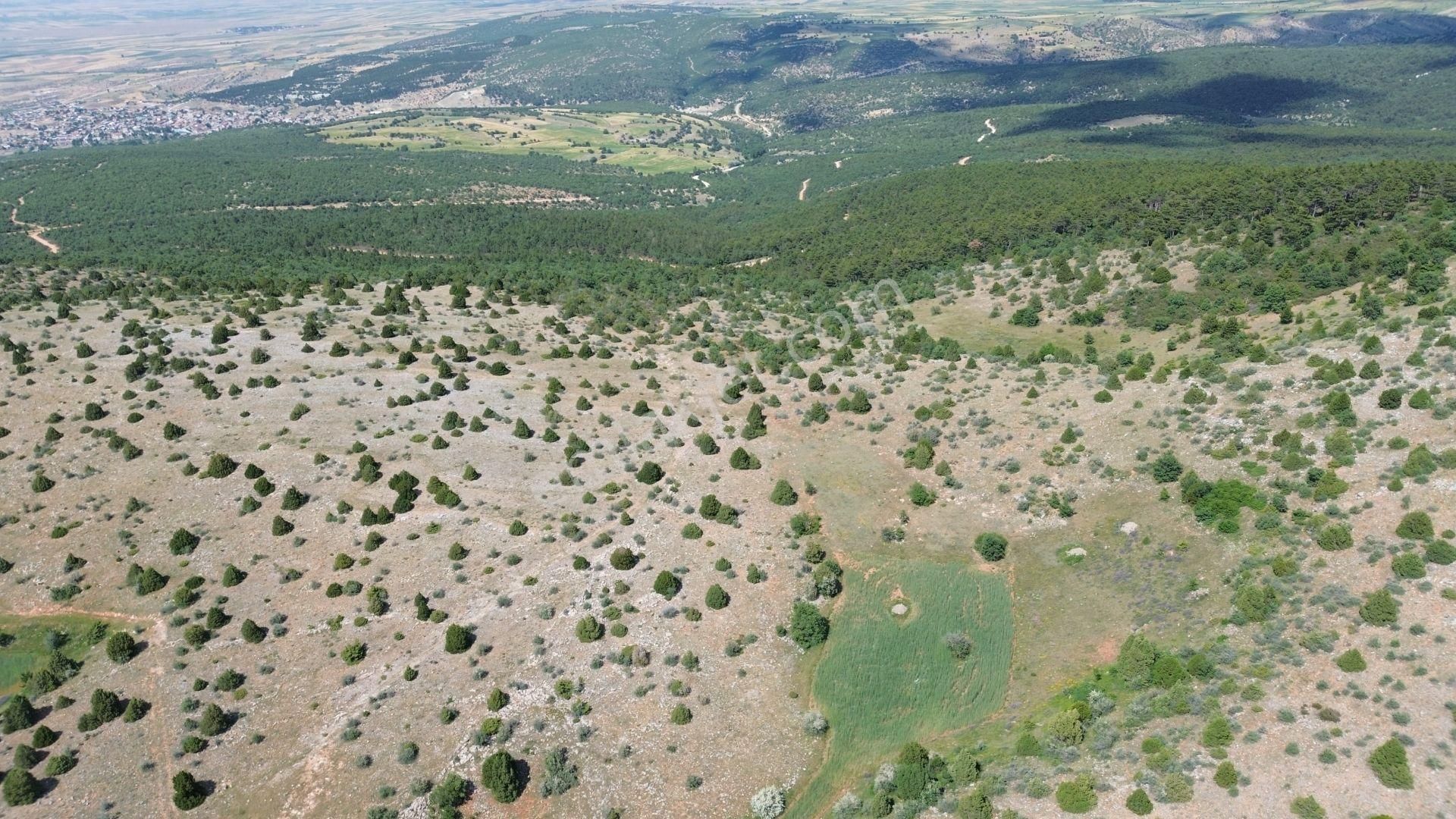 Konya / Ilgın / Mahmuthisar Mahallesinde 825 M² Müstakil Tapulu Tarla - Görsel 5